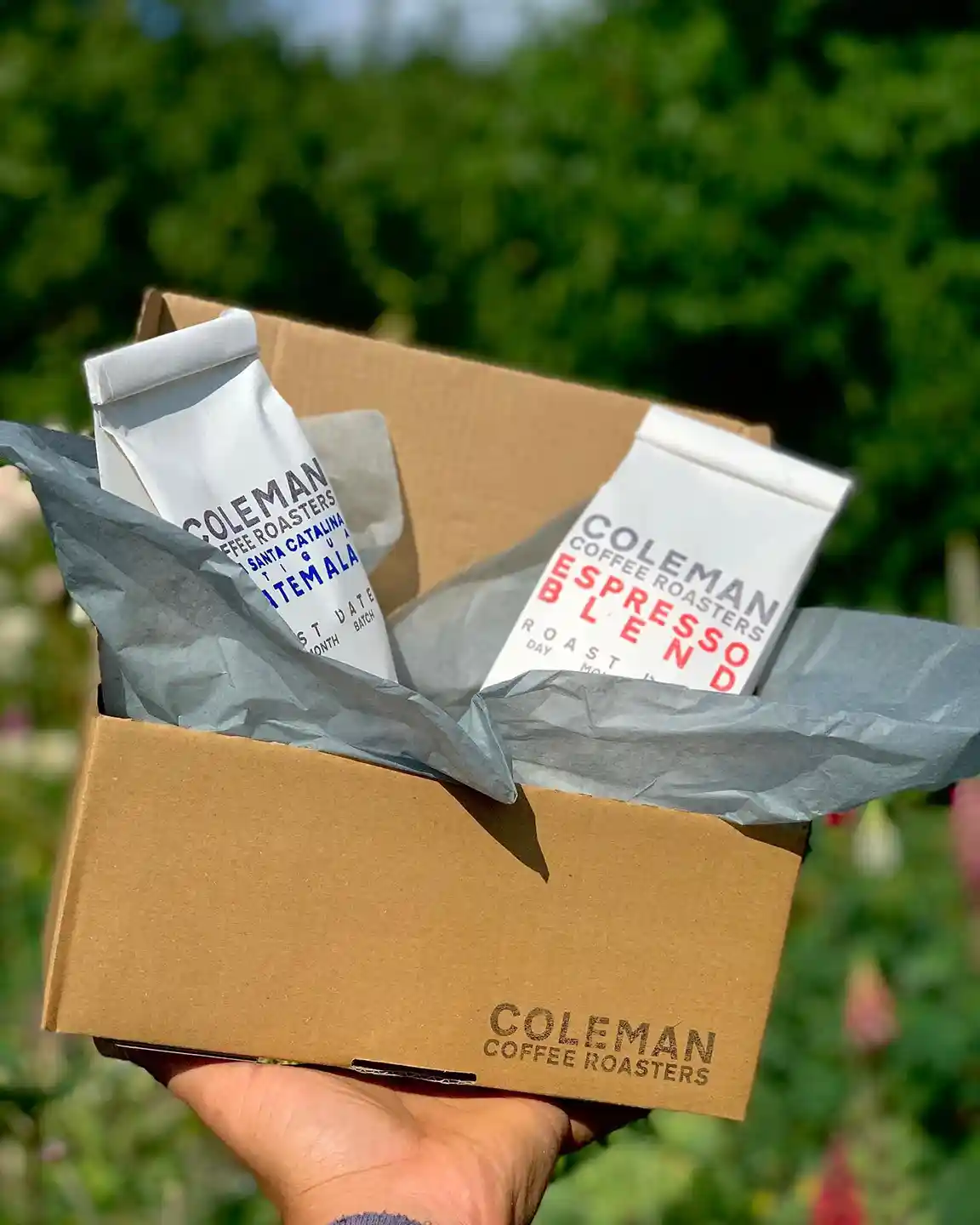 Coleman Coffee Roasters